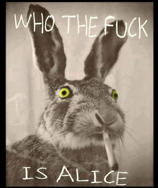 Who is Alice Graphic T-Shirt